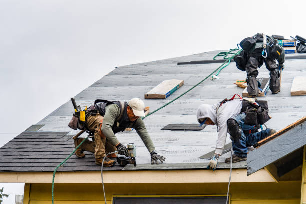 Professional Roof Installation technician working in Bryant, IN